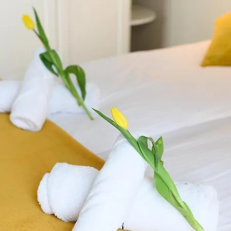 아파트 Z Tarasem *